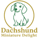 DACHSHUND MINI PUPS
